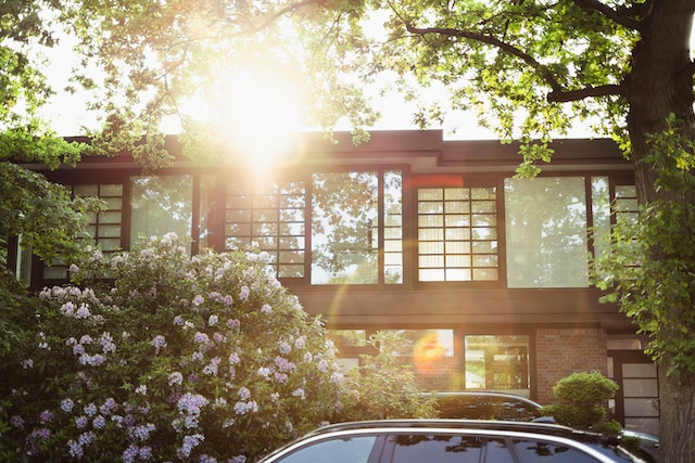 wooden-house-sunlight-trees