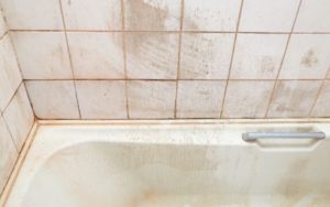 examine shower caulking and grout
